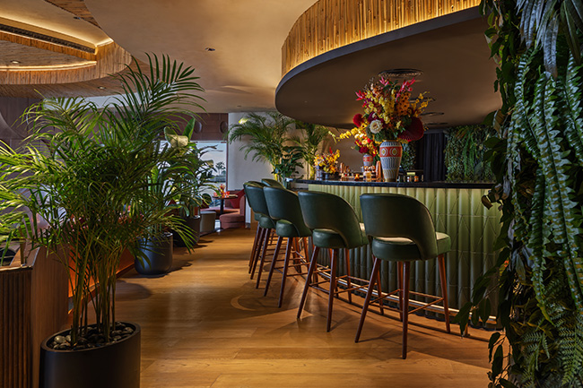F&B Projects